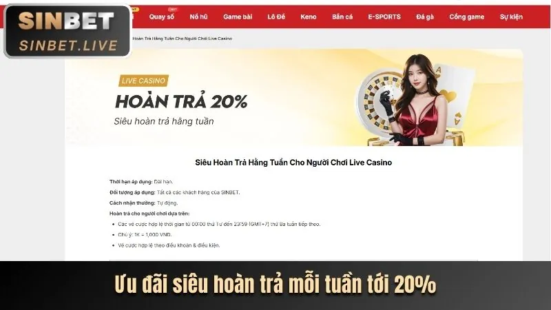 Phân tích ưu đãi mới nhất 555win12